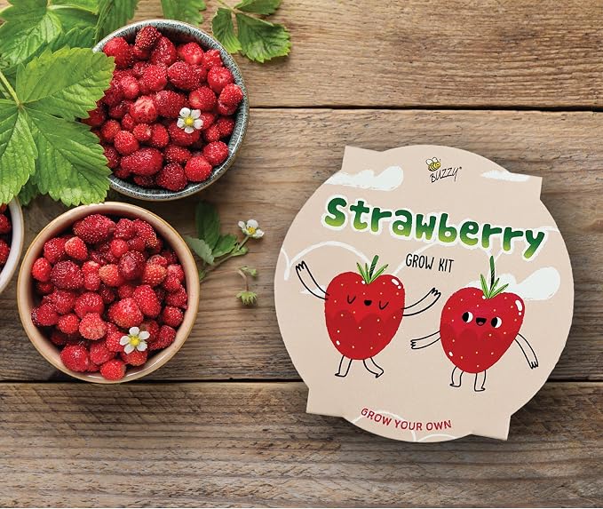 Buzzy Seeds Alpine Strawberry Grow Kit - Metal Windowsill Planter - Complete Indoor/Outdoor Gardening Kit with Seeds, Coconut Husk Growing Medium & Genuine Pots - 100% Grow Guarantee