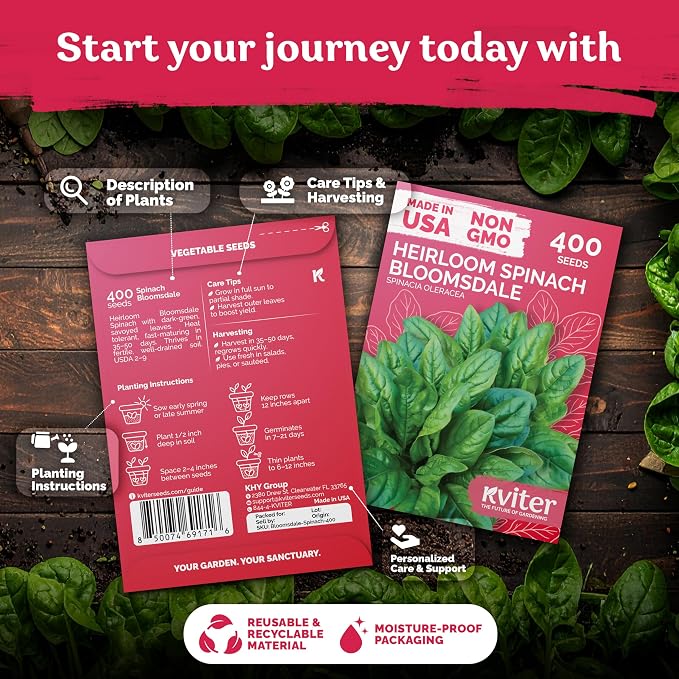 KVITER 400 Bloomsdale Spinach Seeds (Spinacia oleracea) — Non-GMO & Heirloom, Heat Tolerant, Cut and Come Again — Spinach Vegetable Seeds for Planting in Outdoor & Indoor Garden, Containers