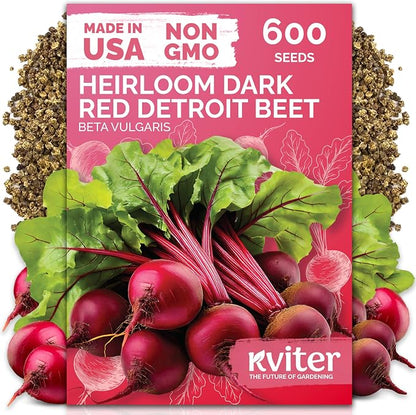 KVITER 600 Detroit Dark Red Beet Seeds (Beta vulgaris) - Known As Beet Root, Tender & Sweet 2-3" Red Beets - Non Gmo & Heirloom Vegetable Seeds For Planting Outdoors in Garden, Raised Beds, Containers
