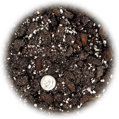 Gardenera Professional Succulent Soil Premium All Purpose Blend | Pre-Mixed Ready to Use for Cactus and Succulents | Sphagnum Peat Moss, Perlite, New Zealand Pine Bark - Made in USA - 20 Quart