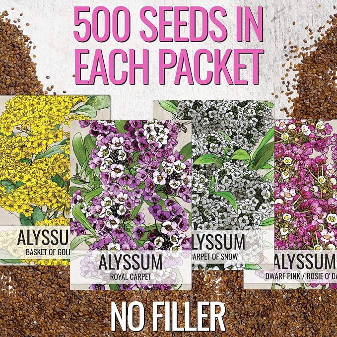 Seed Needs Alyssum Seeds Variety Pack of 4 Groundcover Flowers to Plant