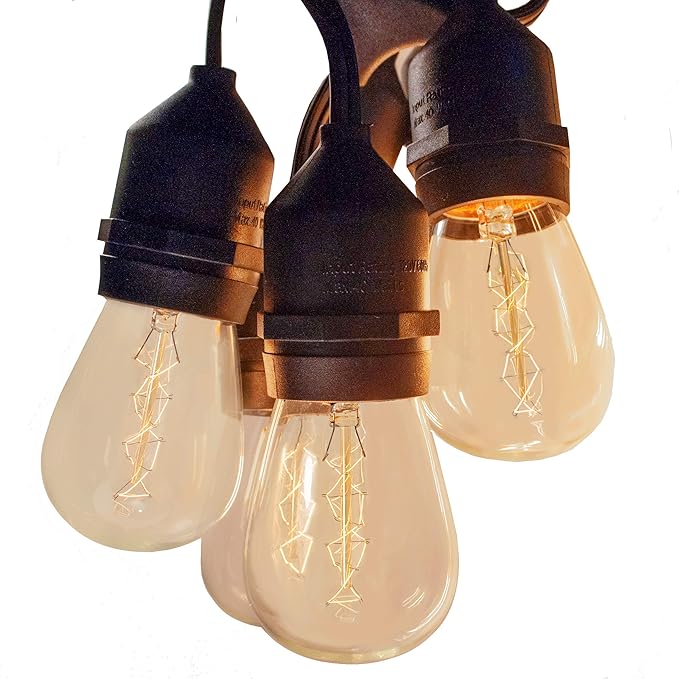 Hometown Evolution, Inc. E26 Outdoor Commercial String Lights with Suspended Socket for Weatherproof Heavy Duty Vintage Outside Lighting (S14 Zig Zag Edison 11 Watt Bulbs, 100 Foot 50 Socket)