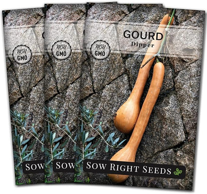 Sow Right Seeds - Dipper Gourd Seeds for Planting - Non-GMO Heirloom Packet with Instructions to Plant and Grow an Outdoor Home Vegetable Garden - Ornamental Craft Gourd - Rare & Unique (3)