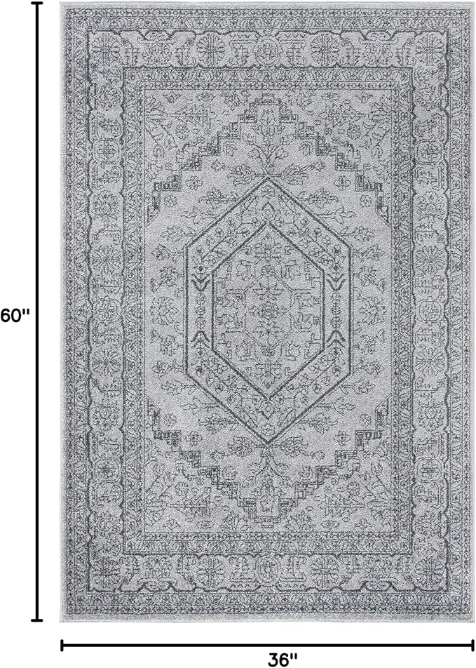 SAFAVIEH Adirondack Collection Accent Rug - 3' x 5', Light Grey & Dark Grey, Oriental Medallion Design, Non-Shedding & Easy Care, Ideal for High Traffic Areas in Foyer, Living Room, Bedroom (ADR108C)