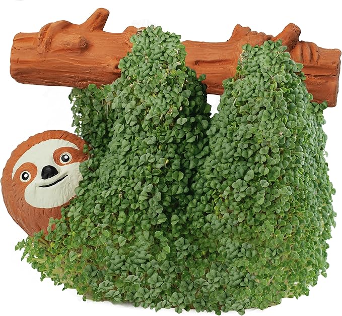 Chia Pet Sloth with Seed Pack, Decorative Pottery Planter, Easy to Do and Fun to Grow, Novelty Gift, Perfect for Any Occasion