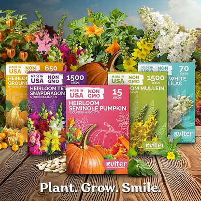 KVITER 500 Walla Walla Onion Seeds for Planting (Allium cepa) – Long Day Sweet Onions Gardening Seeds – Non GMO Heirloom Vegetable Seed Packets, Outdoor & Indoor Gardening, Home Garden, Raised Beds