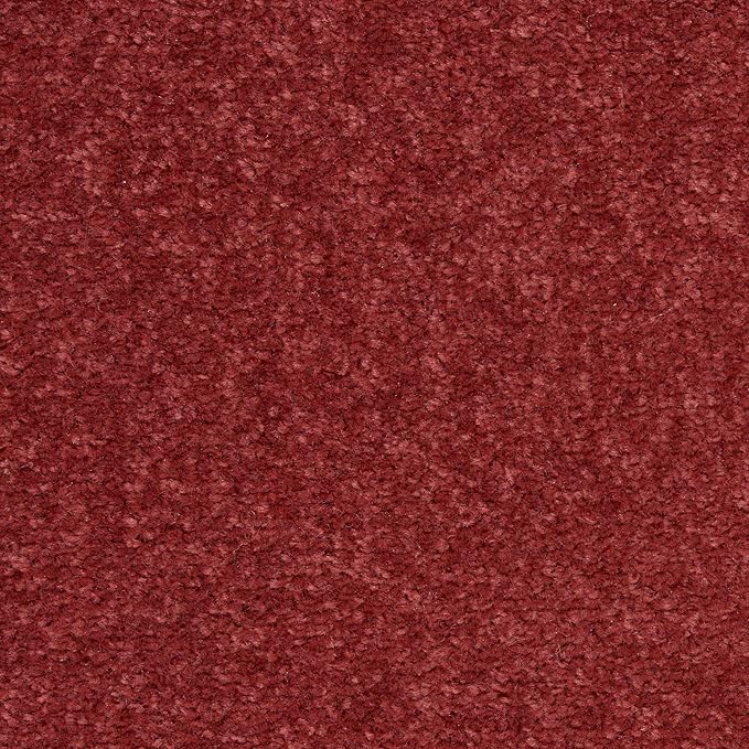 Nourison Home Essentials Solid Indoor/Outdoor Brick Red 2'2" x 18 Area Rug, Easy Cleaning, Non Shedding, Bed Room, Living Room, Dining Room, Deck, Patio, Backyard (2x18)
