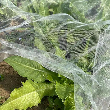 2 Pack 6.5x10 Ft Garden Netting Mesh Plant Covers to Keep Small Animals Pest Out Protect Fine Insect Pest Barrier Bird Raised Bed Cover for Vegetables Fruits Flowers