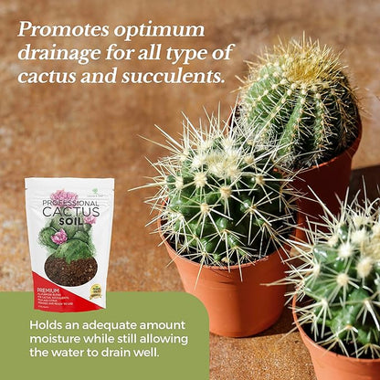 Professional Cactus Soil Mix Large 2.2 Quarts Ready to Use, Premium Fast Draining Potting Soil for Cactus and Succulents, Peat Moss Coco Coir Perlite Dolomite Blend Indoor Plant Soil Made in USA