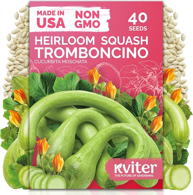 KVITER 40 Tromboncino Squash Seeds (Cucurbita Moschata) – Zucchetta Rampicante, Climbing, Dual-Purpose Squash, Heirloom Seed Packets - Vegetable Seeds for Outdoor Vegetable Garden & Trellises
