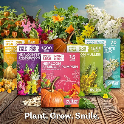 KVITER 250 Texas Early Grano Onion Seeds (Allium Cepa) - Sweet Onions, Short-Day, Non GMO Onion Seed Packets - Heirloom Vegetable Seeds for Outdoors, Vegetable Garden, Kitchen Containers
