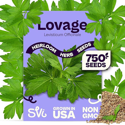 SVI 750 Lovage Seeds (Levisticum officinale) – Lovage Medicinal & Culinary Herb Seed Packets – Heirloom Perennial Herbs Seeds for Vegetable Garden Outdoor & Indoor Kitchen Herb Garden