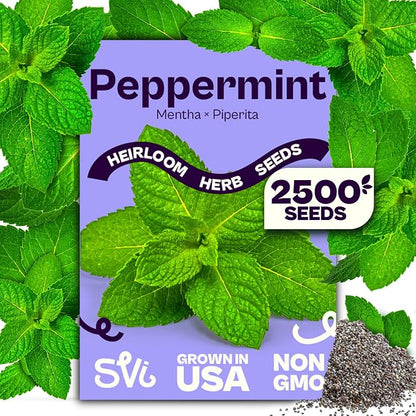 SVI 2500 Peppermint Seeds (Mentha piperita) - Aromatic Perennial Herb, Peppermint for Tea, Culinary Use - Non GMO & Herb Seeds for Outdoor & Indoor Garden, Containers