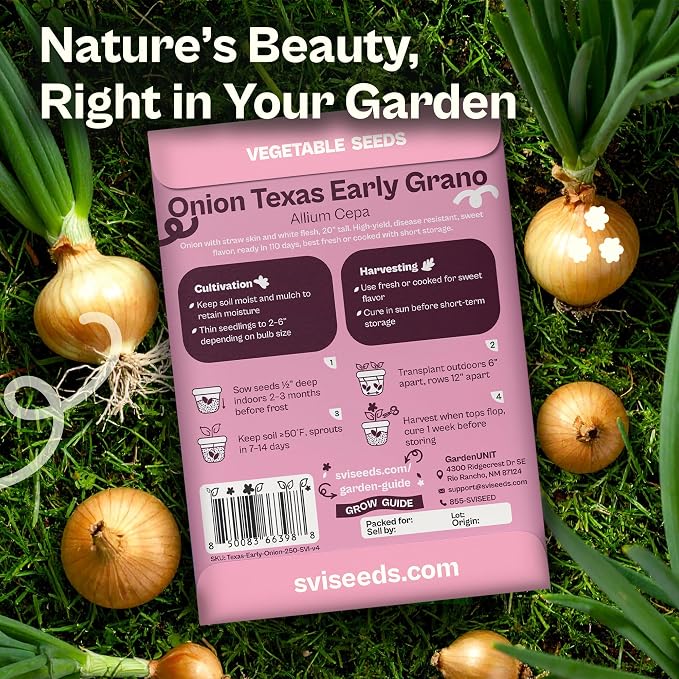 SVI 250 Texas Early Grano Onion Seeds (Allium cepa) - Short Day, Sweet & High Yield Variety - Heirloom Vegetable Seeds for Outdoors & Indoor Garden