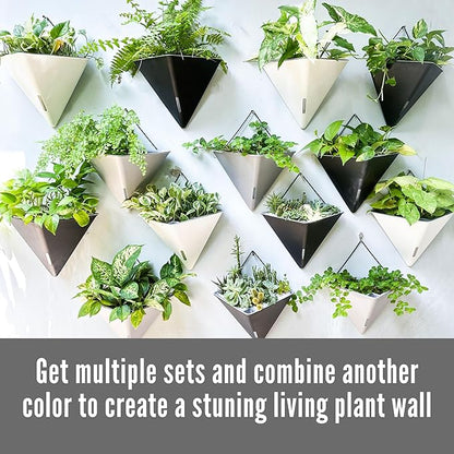 LaLaGreen Wall Planters for Indoor Plants - 4 Pack, 12 Inch Large Self Watering Black and White Mixed Color Geometric Indoor Vertical Garden Wall Hanging Flower Vase Vessel with Metal Hanger Stylish