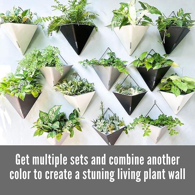 LaLaGreen Wall Planters - 4 Pack, 12 Inch Large Self Watering Black and Gray Mixed Color Geometric Indoor Vertical Garden Plant Wall Hanging Flower Vase Vessel with Black Metal Hanger Modern Stylish