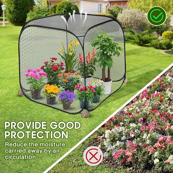 MIAOKE 2 Pack Pop Up Mesh Plant Cover, 35.4x35.4x38.2 Inch No Build Protection Against Insects Garden Netting, Raised Bed Cover for Barrier Against Insects for Vegetable Plant Fruit Animals-Black