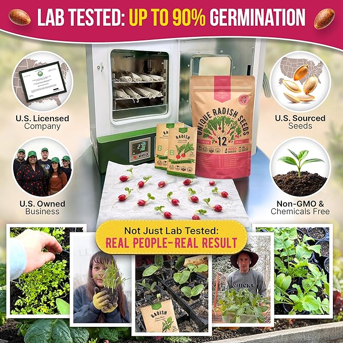 Organo Republic 12 Radish Seeds Variety Pack for Indoor & Outdoors 2400+ Heirloom Non-GMO Radish Garden Seeds: Daikon, Cherry Belle, French, Breakfast, Champion, Purple, Watermelon Radishes Seeds