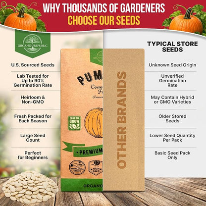 Organo Republic Pumpkin Connecticut Field Seeds Pack, 10G - Over 60 Non-GMO Heirloom Pumpkin Seeds for Planting Vegetables in Individual Seed Packet, Vegetable Seeds for Indoor & Outdoor Gardening