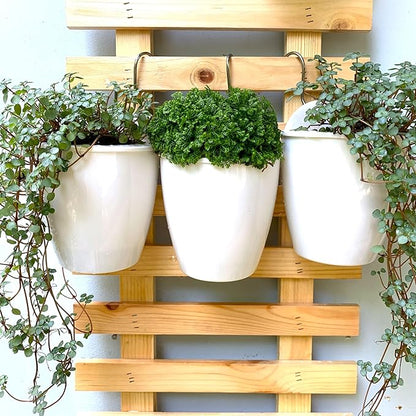 LáLáGreen Wall Planters for Indoor Plants - 10 Pack, 4 Inch Self Watering Planters and Pots, White Wall Mount Planter Plant Holder, Modern Hydroponic Wall Pots Vertical Living Plant Garden Decor