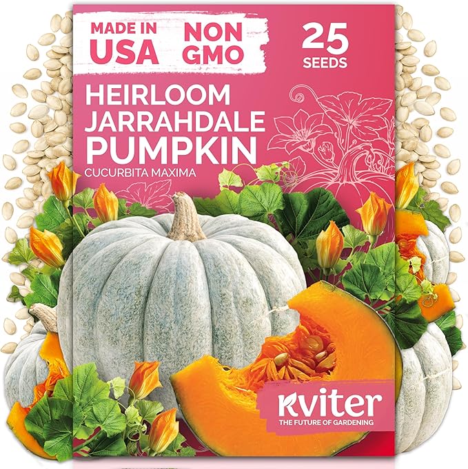 KVITER 25 Jarrahdale Pumpkin Seeds (Cucurbita Maxima) - Blue Pumpkin, Rich Flavor, Heirloom and Non GMO Seed in Seed Packets - Vegetable Seeds for Outdoors, Great for Raised Beds and Containers