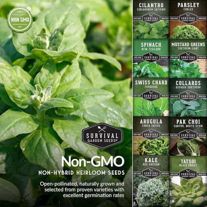 10 Power Greens Seed Collection – Heirloom Collards, Mustard, Swiss Chard, Spinach, Kale, Tatsoi, Pak Choi & More for Fall & Spring Planting | Survival Garden Seeds