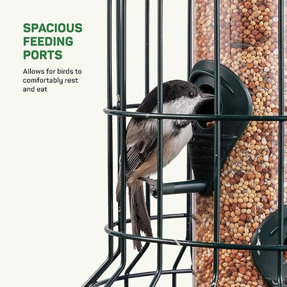 Squirrel Resistant Bird Feeders 22 oz. Bird Feeder with 4 Perches for Small Backyard Birds ONLY. Bird Feeder Squirrel Proof/Chew Proof/Rustproof. Fill with Wild Bird Seed for Outside Feeders