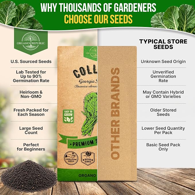 Organo Republic Collard Georgia Southern Seeds Pack 5G - Over 1900 Non-GMO Heirloom Collard Seeds for Planting Vegetable in Individual Seed Packet Vegetables Seeds for Planting Indoor & Outdoor