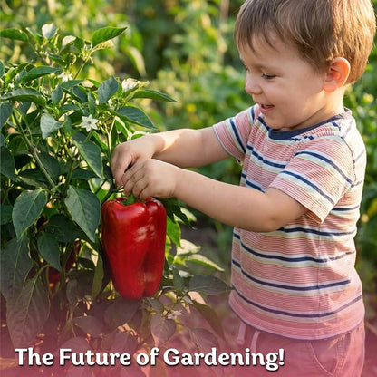 KVITER 150 California Wonder Sweet Pepper Seeds (Capsicum Annuum) - Cal Wonder, Mild Flavor, Heirloom, Non GMO Seed - Vegetable Seeds in Seed Packets for Outdoor Gardens, Containers, Raised Beds