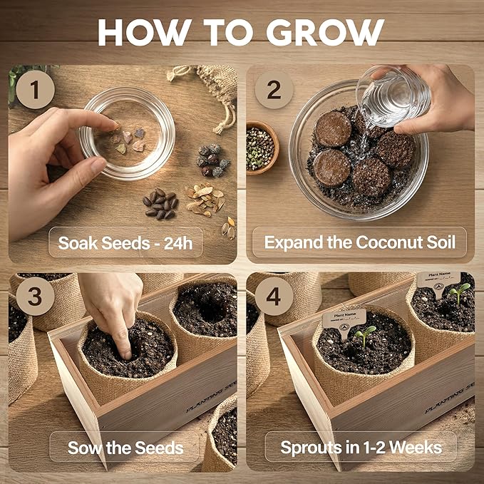 Bonsai Tree Kit for Beginners – 5X Unique Japanese Bonzai Trees | Complete Indoor Bonsai Starter Kit for Growing Bonsai Plants with Tools & Planters – DIY Gardening Gifts for Women & Men