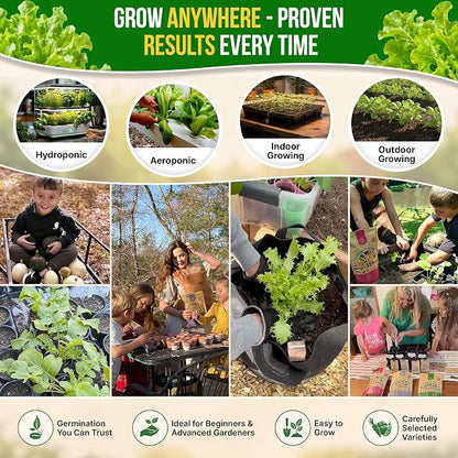 Organo Republic Lettuce Oakleaf Seeds Pack 1 G - Over 800 Non-GMO Heirloom Lettuce Seeds for Planting Greens in Individual Seed Packet, Greens Seeds for Planting Home Garden Indoor & Outdoor Gardening