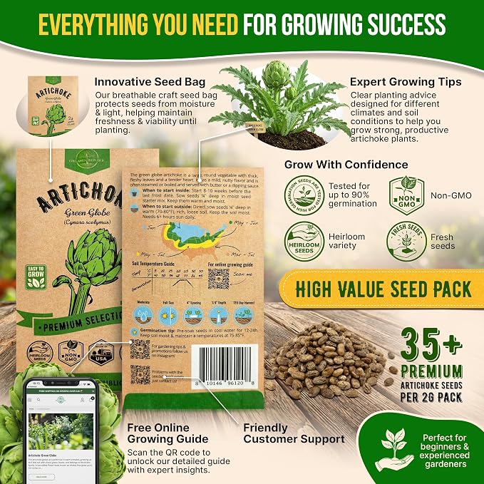 Green Globe Artichoke Seeds Pack 2G - Over 35 of Non-GMO Heirloom Artichoke Seeds for Planting Vegetables in Individual Seed Packet, Vegetable Seeds for Planting Home Garden Indoor & Outdoor Gardening