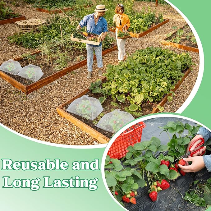 FoldTier 6 Sets Strawberry Supports with Plant Protectors from Animals, Strawberry Growing Racks and Mesh Plant Cover with Plastic Garden Lawn Stakes and Storage Bag for Garden Strawberry Vegetables