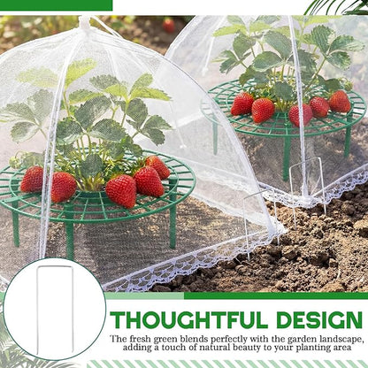 12 Sets Round Strawberry Plant Support with Mesh Plant Cover, Strawberry Growing Kit with Iron Nails for Garden Vegetables Keep Berries Clean
