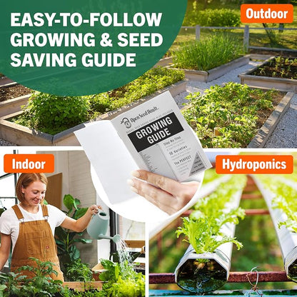 Open Seed Vault |15,000 Heirloom Seeds | 32 Seed Types | Survival Seeds | 2026 Season | Non GMO Vegetable and Fruit Seeds | Planting Outdoor & Indoor Garden