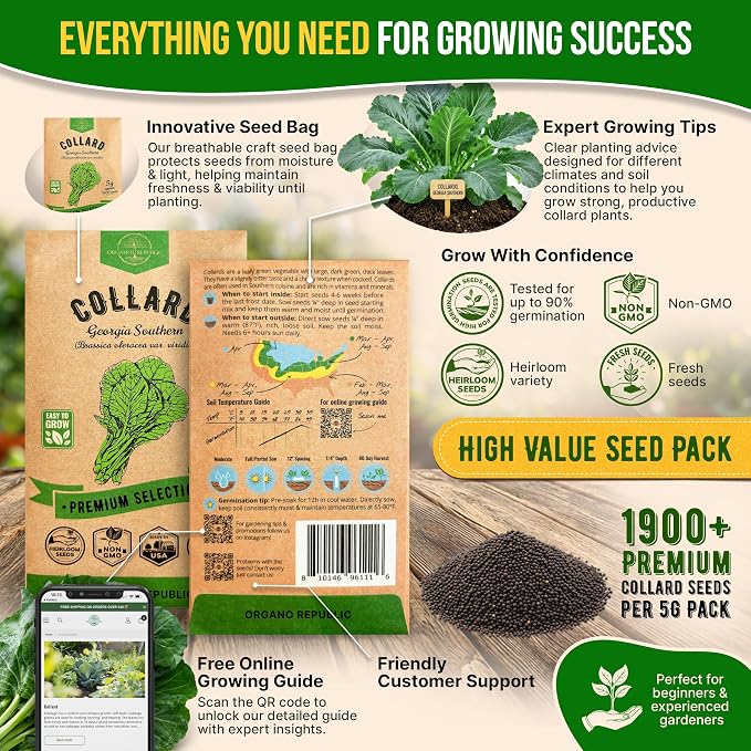 Organo Republic Collard Georgia Southern Seeds Pack 5G - Over 1900 Non-GMO Heirloom Collard Seeds for Planting Vegetable in Individual Seed Packet Vegetables Seeds for Planting Indoor & Outdoor