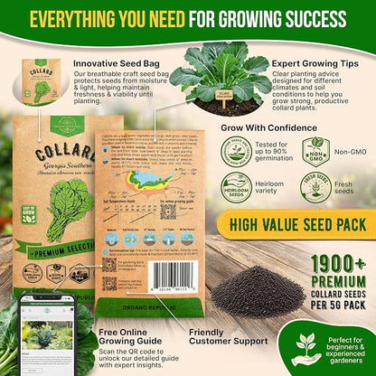 Organo Republic Collard Georgia Southern Seeds Pack 5G - Over 1900 Non-GMO Heirloom Collard Seeds for Planting Vegetable in Individual Seed Packet Vegetables Seeds for Planting Indoor & Outdoor
