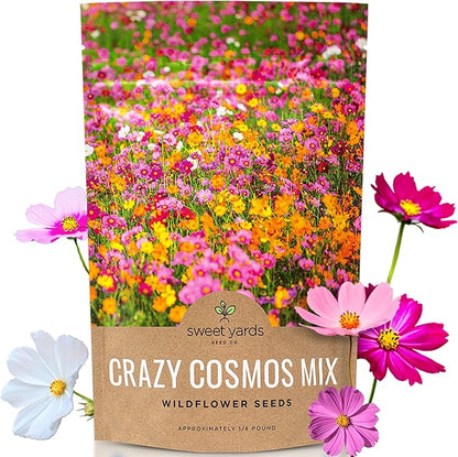 Cosmos Seeds Wildflower Mixture - Bulk Quarter Pound Bag - Over 20,000 Seeds - Pink, Yellow, Orange, Red, Purple and White Mixed Species!