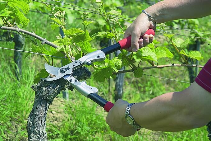 FELCO F21 Swiss Made Loppers for Gardening – 24.8" Heavy Duty Loppers for Tree Trimming | Tree Branch Cutters | Tree Trimmer Tool with Replaceable Carbon Steel Blade, Forged Handles Made for Life