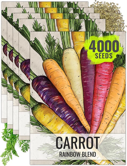 Seed Needs Rainbow Mixed Carrot Seeds to Plant Heirloom & Non-GMO 5 Packs