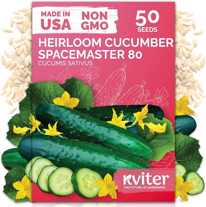 KVITER 50 Spacemaster 80 Cucumber Seeds (Cucumis sativus) - Compact Space Master Cucumber Seed Packets, Pickling & Slicing Cucumbers - Vegetable Seeds for Planting in Small Garden & Containers