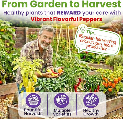 Hot Pepper Seeds for Planting, Cayenne, Hungarian Yellow, Jalapeno, Serrano, Habanero Orange, Heirloom Pepper Seeds Variety Pack, NonGMO, Made in USA