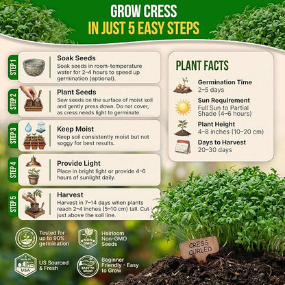 Organo Republic Curled Cress Seeds Pack 5G - Over 2,150 Non-GMO Heirloom Cress Seeds for Planting Greens in Individual Seed Packet, Greens Seeds for Planting Home Garden Indoor & Outdoor Gardening