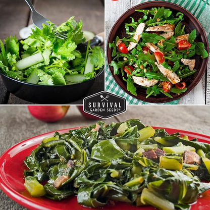 10 Power Greens Seed Collection – Heirloom Collards, Mustard, Swiss Chard, Spinach, Kale, Tatsoi, Pak Choi & More for Fall & Spring Planting | Survival Garden Seeds