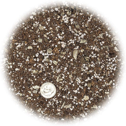 Premium African Violets and Gesneriad Premium Soil Mix by Gardenera - Horticultural Perlite (25%) + Vermiculite (25%) + Sphagnum Peat Moss (50%) - Made in USA - (5 Quart Bag)