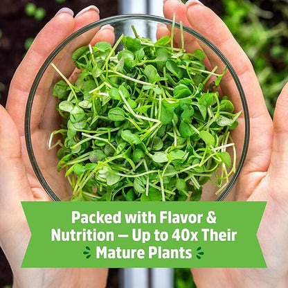 Back to The Roots Organic Microgreens Grow Kit with Ceramic Planter, Expandable Soil, Organic Seeds, and Germination Lid