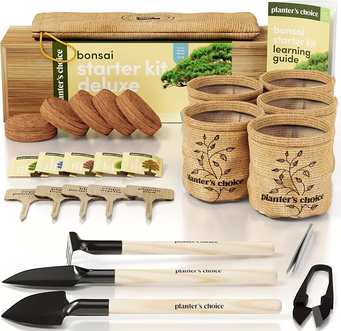 Planter's Choice Bonsai Tree Starter Kit - Birthday Gifts for Women, Men, Adults - Indoor Live House Plants - DIY Adults Craft Kits - Unique Hobby Gift Gardening Lovers - Gift Ideas Mom, Her, Friend