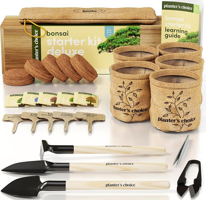 Planter's Choice Bonsai Tree Starter Kit - Birthday Gifts for Women, Men, Adults - Indoor Live House Plants - DIY Adults Craft Kits - Unique Hobby Gift Gardening Lovers - Gift Ideas Mom, Her, Friend