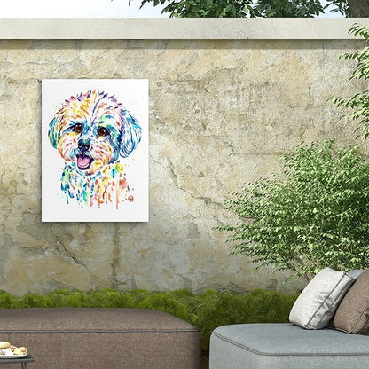 Outdoor Canvas Art - Lisa Whitehouse 'Bichon' Wall Art for Outdoor Spaces, Patios, or Gardens by Trademark Fine Art