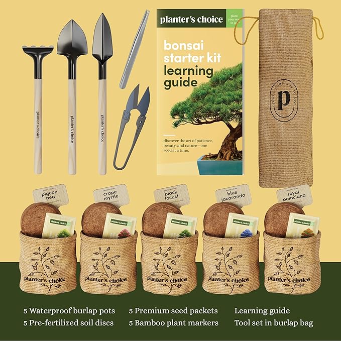 Planter's Choice Bonsai Tree Starter Kit - Birthday Gifts for Women, Men, Adults - Indoor Live House Plants - DIY Adults Craft Kits - Unique Hobby Gift Gardening Lovers - Gift Ideas Mom, Her, Friend